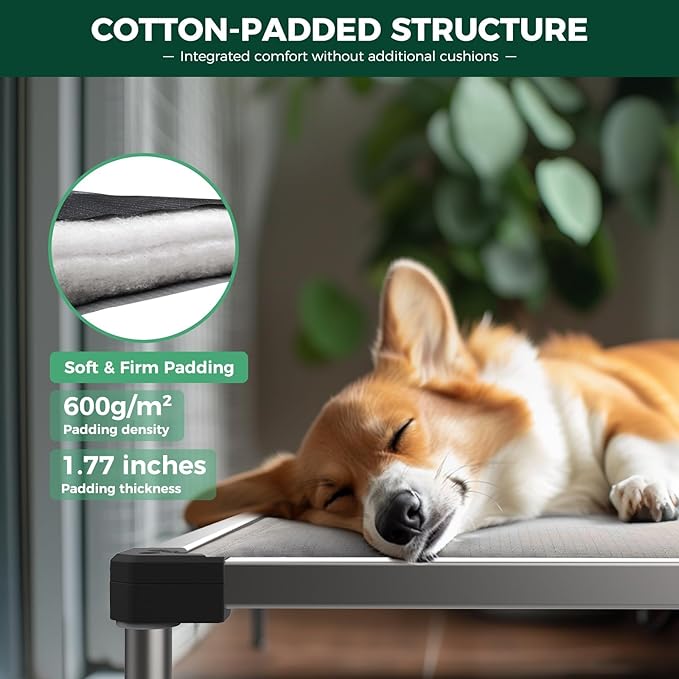 FXW TitanNest Chew-Proof Elevated Dog Bed, Raised Cot for Indoor/Outdoor/Camping Use, Durable & Washable Padded Pet Bed with Exclusive Cover for Toy Dogs, 24.0" L x 20.0" W x 4.1" H, Gray