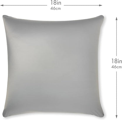 PILLOWY 18" x 18" Throw Pillow - Light Grey: 1 PCS Luxurious Premium Microbead Pillow with 85/15 Nylon/Spandex Fabric. Forever Fluffy, Outstanding Beauty & Support. Silky, Soft & Beyond Comfortable
