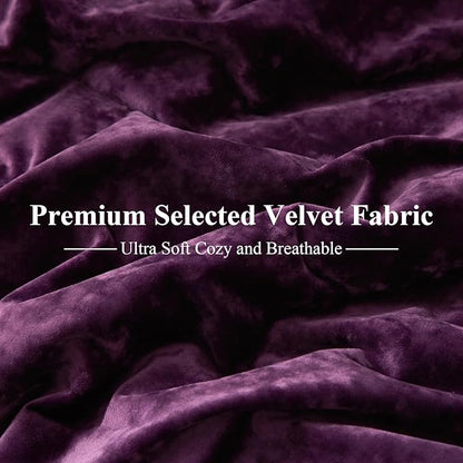 Ivellow Crushed Velvet Comforter Set Queen Purple Comforter Set 5pcs Ultra Soft Lightweight Breathable Bedding Set Luxury Cozy Flannel Comforter Queen Size (1 Comforter,2 Pillow Shams, 2 Euro Shams