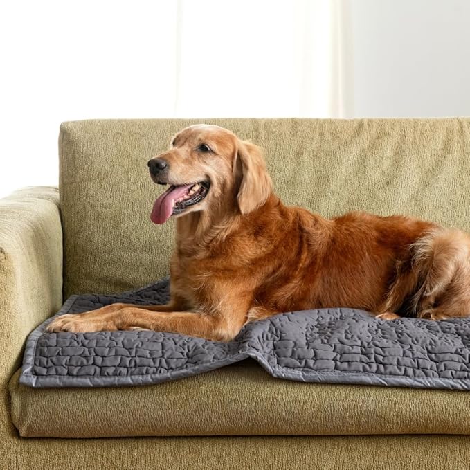 PAULATO BY GA.I.CO. Waterproof Couch Cover – 24x47 Blanket for Sofa Car Seat or Crate – Machine Washable Absorbent Reusable Pad for Puppy Training – Dogs Cats Pets Friendly Protector - Dark Grey