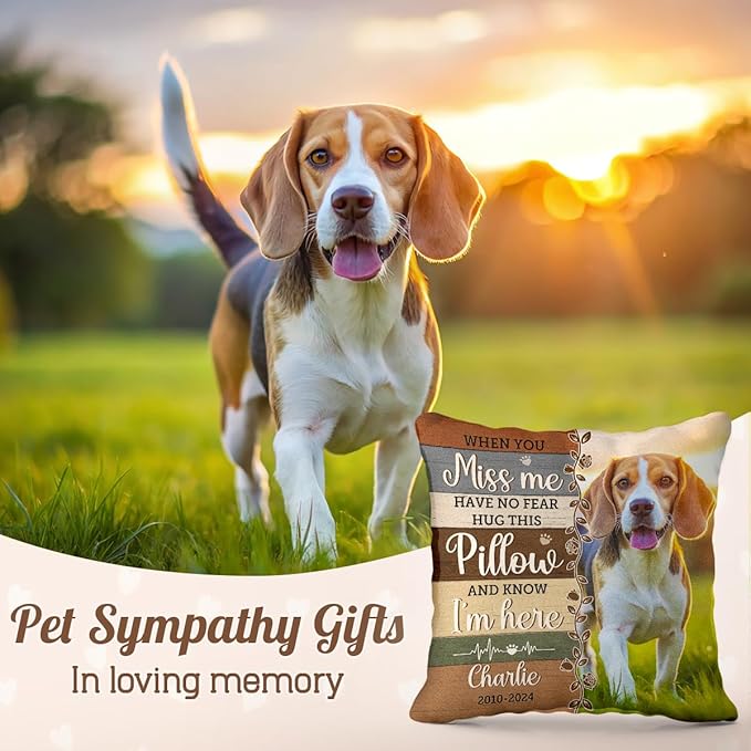 Pawfect House Custom Photo Hug This Pillow and Feel Me Here, Personalized Pet Memorial Throw Pillow (Insert Included), Pet Memorial Gifts for Dogs, Cat Remembrance Gifts, Dog Loss Sympathy Gift