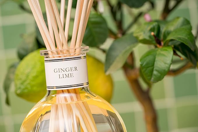Dr. Vranjes - Ginger Lime 500 ml Reed Diffuser + Elegant Shopping Bag, Bright Fruity & Spicy, Home Fragrance, Made in Italy