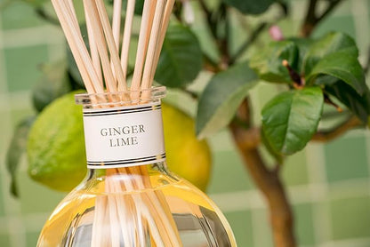 Dr. Vranjes - Ginger Lime 500 ml Diffuser + Double Pack of White Sticks (3 Pieces Bundle)- Luxury Home Fragrance, Made in Italy, Main Scent: Fruity, Olfactory Pyramid: Lime, Ginger, White Pepper.