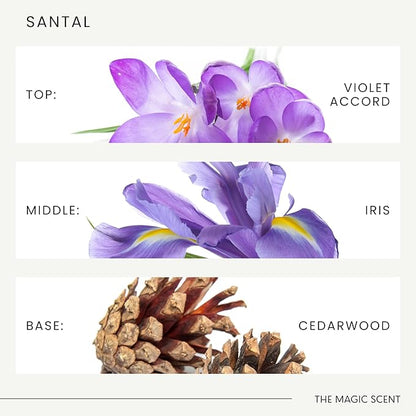 The Magic Scent Santal Diffuser Oil - Fragrance Oil Scent - Cold-Air & Ultrasonic Santal Essential Oil - Aroma Diffuser Oils Scents for Home - Sandalwood, Musk & Cardamom - 16.9 fl oz, 500 mL