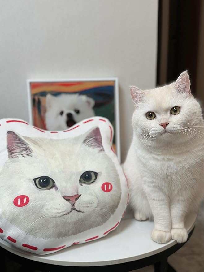 Custom Pet Portrait Pillows with Photos, Personalized Hand-Drawn 3D Dog Pillow, Custom Cat Face Pillow with Cute Design, Birthday Gift for Him or Her