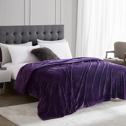 Hansleep Fleece Blanket Twin Size Purple, Soft Cozy Twin Fuzzy Flannel Lightweight Blanket for Bed, Sofa, Couch, Travel, Camping, Purple, 60x80 Inches