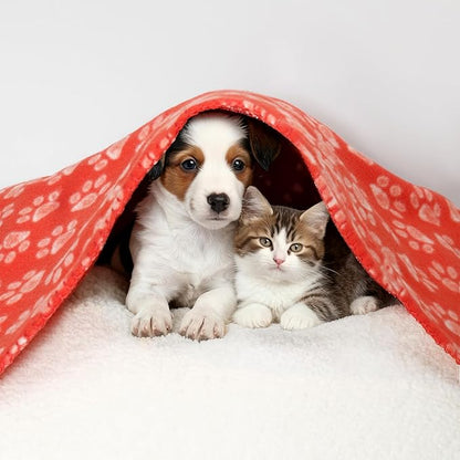 CAI TENG 3 Pack Pet Blankets for Small Dogs Dog Blanket Cat 21x30 Inch Soft Pet Fleece Blanket Warm Puppy Essentials for Bed Cute Paw Printed Throw Dog Red