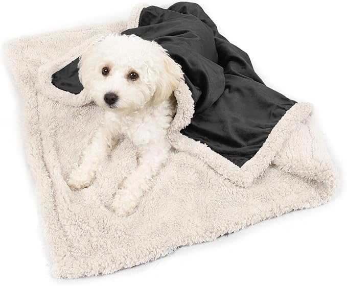 Kritter Planet Dog Blankets for Small Dogs, Soft Puppy Blanket, Pet Blankets for Cats, Lightweight & Washable, Perfect for Dog Beds, Car Seats, Creat, 30x40 inches