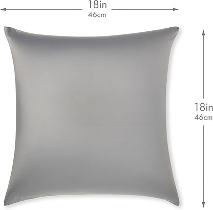 PILLOWY 18" x 18" Throw Pillow - Dark Grey: 1 PCS Luxurious Premium Microbead Pillow with 85/15 Nylon/Spandex Fabric. Forever Fluffy, Outstanding Beauty & Support. Silky, Soft & Beyond Comfortable