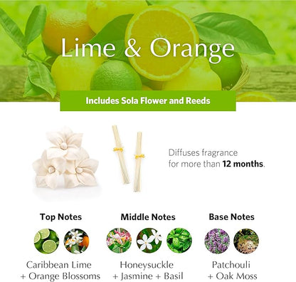 AGRARIA AirEssence Flower and Reed Diffuser Set, Handmade Sola Flower Botanical Home Fragrance Set, Scented Oil Reed Diffuser Gift for All Occasions