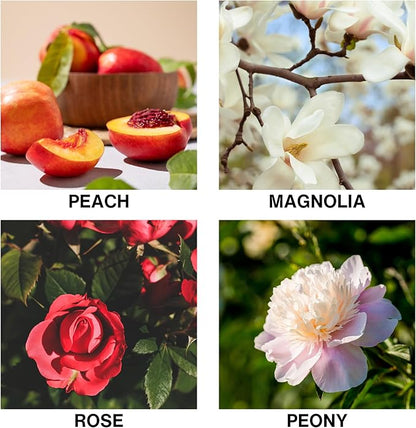 Reed Diffuser Oil – Flora D’Amour Scent with Rose, Peony, Magnolia & Peach – Long Lasting Aroma Diffusers for Home, Bedroom, Bathroom & Office – 50ml