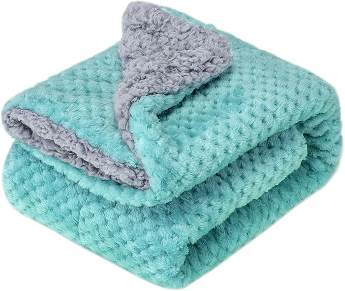 Fuzzy Blanket or Fluffy Blanket for Baby Girl or boy, Soft Warm Cozy Coral Fleece Toddler, Infant or Newborn Receiving Blanket for Crib, Stroller, Travel, Outdoor (24" x 32", DG-Blue Bell)