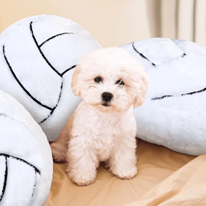 Gerrii 8 Pcs Ball Pillows 13.8" Sports Throw Pillows Plush Fluffy Cushion Sport Theme Fluffy Stuffed Plush Cushion for Team Gifts Bedroom Decoration(Volleyball)