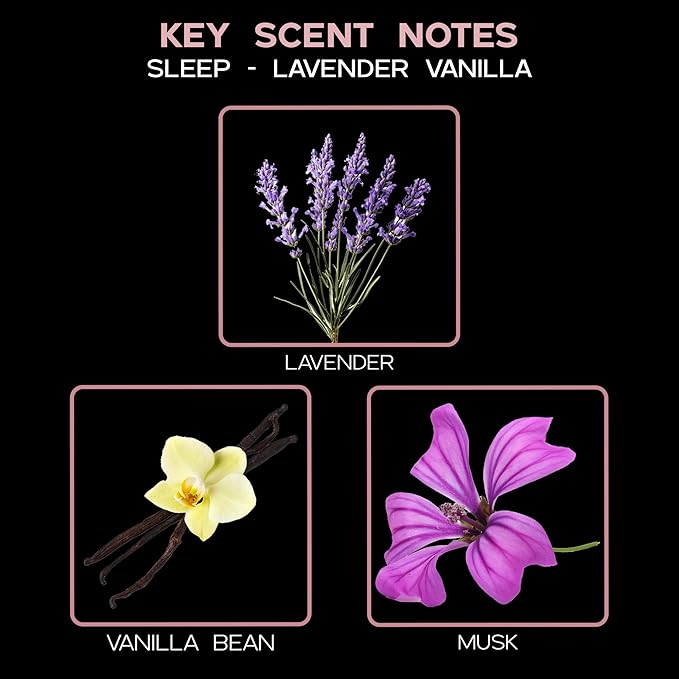 LOVSPA Reed Diffuser Set, Lavender Vanilla Scented Oil Diffuser with Sticks, Home Fragrance Accessories for Bathroom Shelf Decor, Aroma Diffusers for Home or Office Desk, USA Made