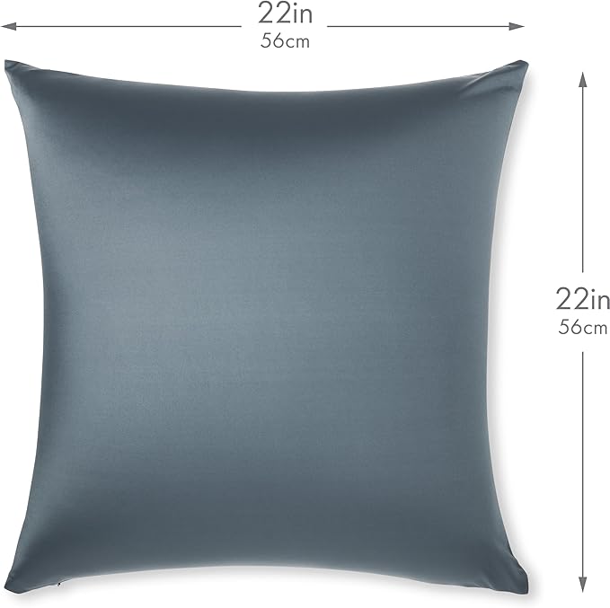 PILLOWY 22x22 Throw Pillowcase (Cover Only) -85/15 Nylon, Spandex -Luxurious, Silky, Stretchy & Soft - 1Pcs Solid Color -A Perfect Choice for Couch Chairs Sofa Bed Adult/Kids Bedroom, Dark Slate Grey