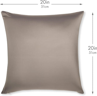 PILLOWY 20" x 20" Throw Pillow - Stone Grey: 1 PCS Luxurious Premium Microbead Pillow with 85/15 Nylon/Spandex Fabric. Forever Fluffy, Outstanding Beauty & Support. Silky, Soft & Beyond Comfortable