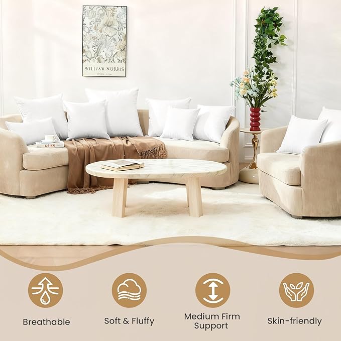 BHZ 22x22 Throw Pillow Insert, Down Feather Pillow Inserts, Decorative Soft Square White 22 x 22 Inch Pillows Insert for Couch Bed Dorm Sofa with Cover