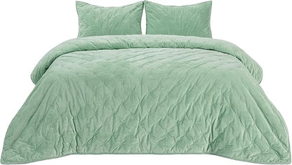 Bedsure Velvet Fleece Comforter Set Queen, Sage Green Lightweight Quilted Bedding Set, Soft Warm Blanket for All Season, 3 Pieces, 1 Comforter (90" x 90") and 2 Pillow Shams (20" x 26")
