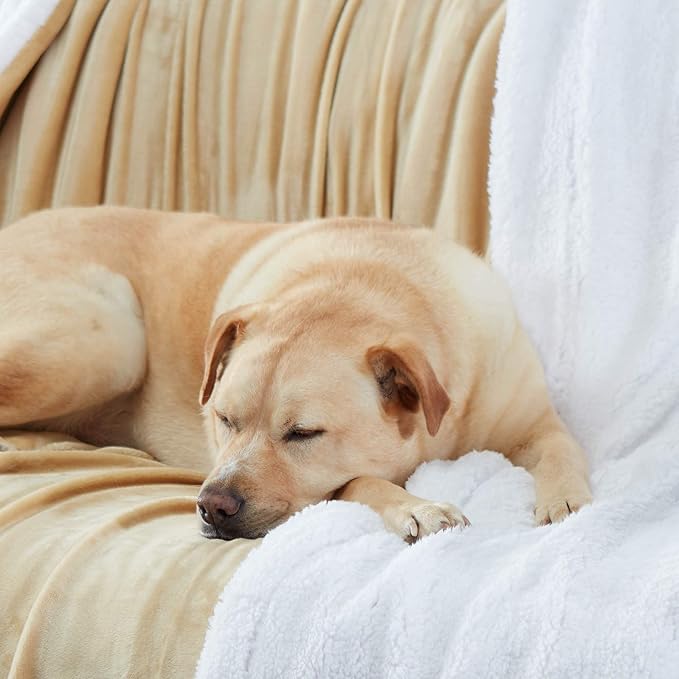 Genteele Sherpa Throw Blanket Super Soft Reversible Ultra Luxurious Plush Blanket, 60 x 80 inches, Camel/White