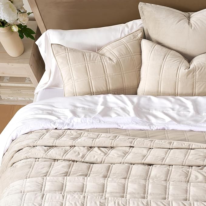 EVERGRACE 3 Pieces Luxurious Velvet Quilt Queen Size, Ultra Soft Bedspread Coverlet Set, Double Box Stitch Lightweight Velvet Comforter for All Season with 2 Shams, Beige, 92"x96"