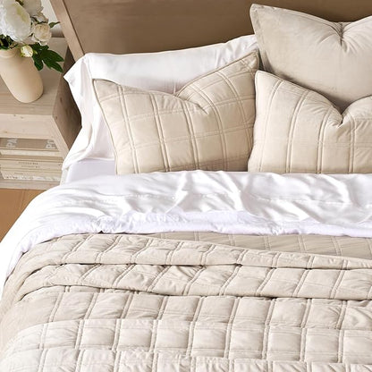 EVERGRACE 3 Pieces Luxurious Velvet Quilt Queen Size, Ultra Soft Bedspread Coverlet Set, Double Box Stitch Lightweight Velvet Comforter for All Season with 2 Shams, Beige, 92"x96"
