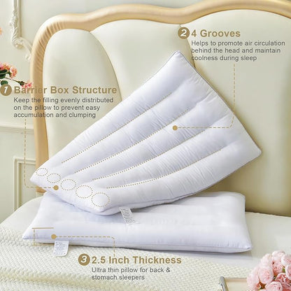 2 Pack Thin Pillow for Stomach and Back Sleeper Low Pillow Flat Bed Pillow Flat Design Pillows Ultra Slim 2.5 Inches Deeper Sleep (Pack of 2)