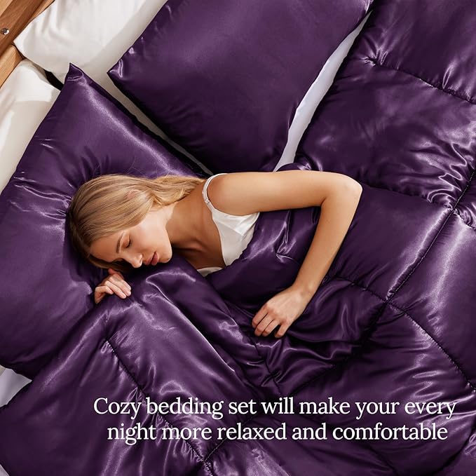 Whale Flotilla 2-Piece Reversible Silky Soft Twin Size Comforter Bedding Set, Luxurious Satin Comforters with Satin Pillowcase, Lightweight Duvet for All Seasons, Purple