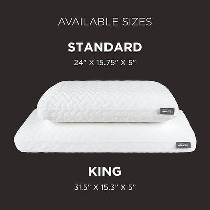 TEMPUR-Pedic TEMPUR-Cloud Pillow, Standard-2-Pack, Standard, White 2 Count