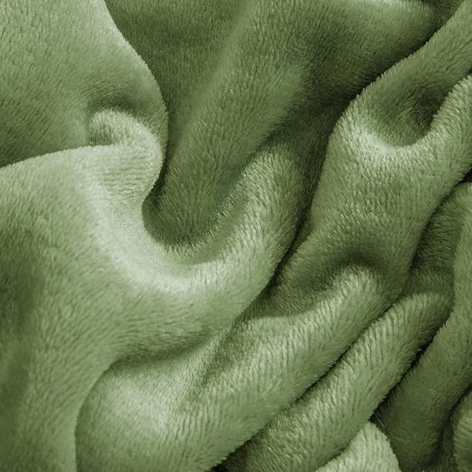 BEDELITE Flannel Sheets Queen Size Sage Green - Super Soft Fleece Sheets Set Fluffy Extra Plush, 4 Piece(Include Fitted Sheet, Flat Sheet, 2 Pillowcases)