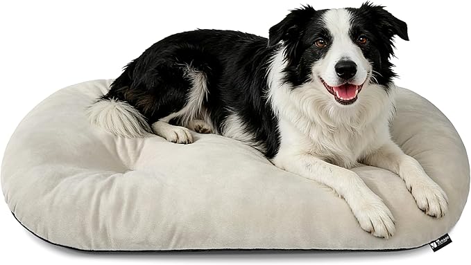 Washable Large Dog Bed 35x22 Inch - Silver Fox Faux Fur Supportive Pad, Non-Slip Bottom Durable Oval Pet Bed Indoor Outdoor for Medium Dogs Cats(Beige)