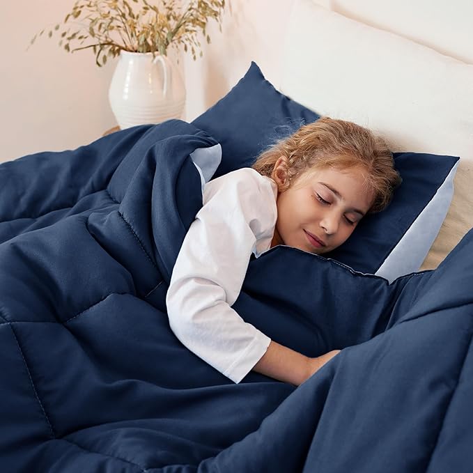 Exclusivo Mezcla Lightweight Reversible Full Queen Size Comforter Set, Down Alternative Comforter with 2 Pillow Sham, Full Queen Size Bedding Set for All Seasons, Navy/Blue