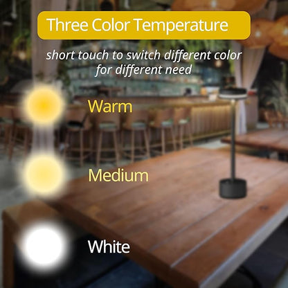 Cordless Table Lamp, Portable Rechargeable Bedside Lamp, Touch Stepless Dimmable Desk Lamp, for Home Bedroom Hotel Restaurant Bar Outdoor, 2 Set, Black