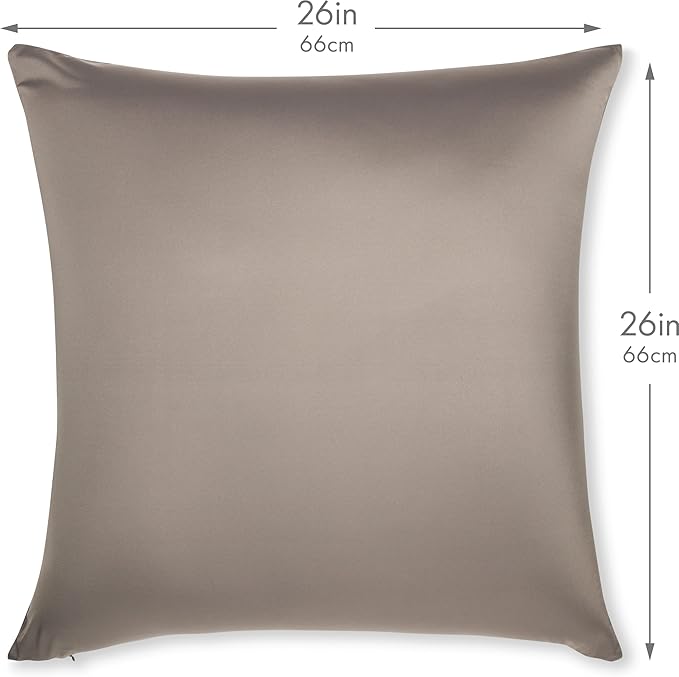 PILLOWY 26" x 26" Throw Pillow - Stone Grey: 1 PCS Luxurious Premium Microbead Pillow with 85/15 Nylon/Spandex Fabric. Forever Fluffy, Outstanding Beauty & Support. Silky, Soft & Beyond Comfortable