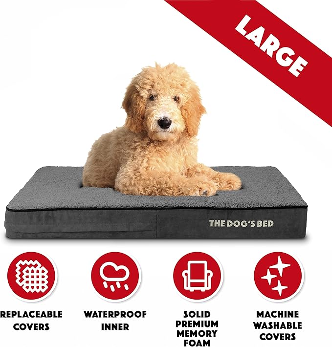 The Dog’s Bed Orthopedic Memory Foam Dog Bed Mattress, Plush Fabric, Grey Plush, L, 4-Inch
