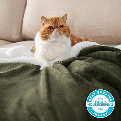 Bedsure GentleSoft Sherpa Fleece Blankets King Size for Bed - Thick and Warm Throw for Women and Men, Soft Fuzzy Plush King Blanket for Winter, Non-Heated, Olive Green, 108x90 Inches
