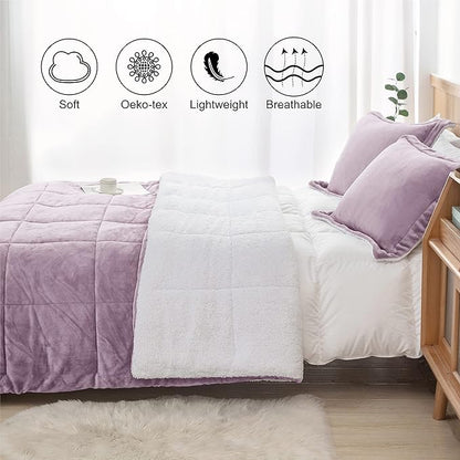 Seward Park Lavender Purple Fuzzy Sherpa Comforter Set Full Queen Size, Soft Fall Winter All Season Girls Bedding Comforter Sets 3 Piece (1 Comforter and 2 Pillow Shams)