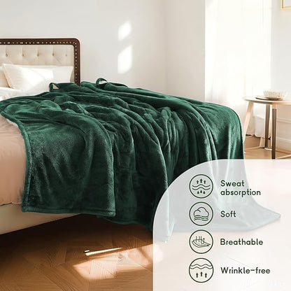 Heated Blanket Electric Blanket Queen Size 84''x90'' with 5 Heating Levels, 10 Hour Auto Shut Off, Machine Washable, Dual Controller Soft Warming Blanket for Couch, Bed, Office - Grass Green
