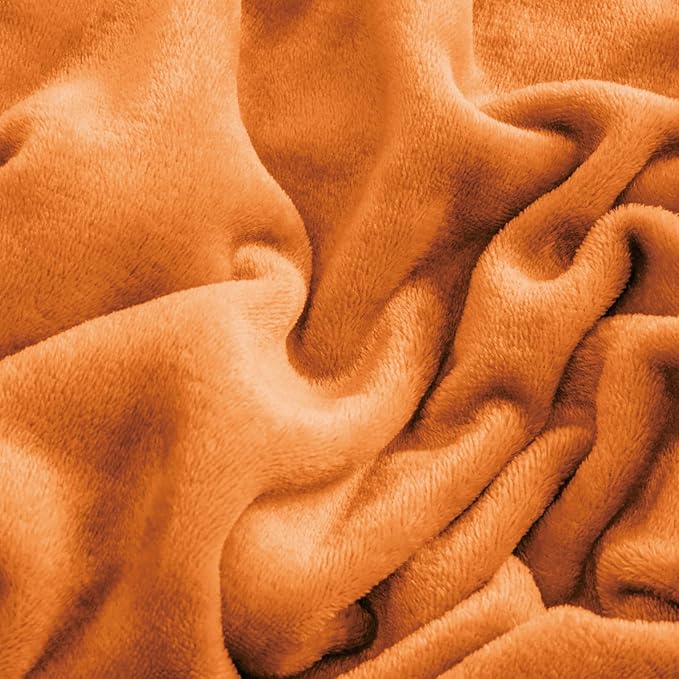BEDELITE Flannel Sheets Queen Size Burnt Orange - Super Soft Fall Fleece Sheets Set Fluffy Extra Plush, 4 Piece(Include Fitted Sheet, Flat Sheet, 2 Pillowcases)