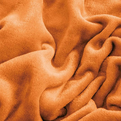 BEDELITE Flannel Sheets Queen Size Burnt Orange - Super Soft Fall Fleece Sheets Set Fluffy Extra Plush, 4 Piece(Include Fitted Sheet, Flat Sheet, 2 Pillowcases)