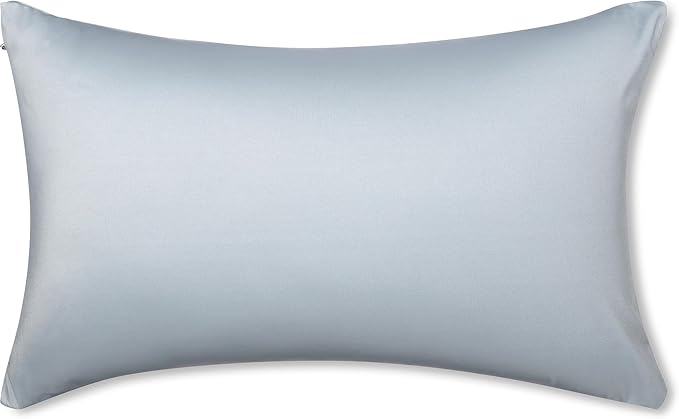 PILLOWY 24" x 24" Throw Pillow - Light Grey: 1 PCS Luxurious Premium Microbead Pillow with 85/15 Nylon/Spandex Fabric. Forever Fluffy, Outstanding Beauty & Support. Silky, Soft & Beyond Comfortable