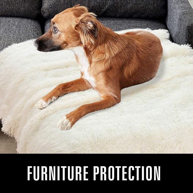 LOCHAS Luxury Fluffy Dog Blanket, Extra Soft and Warm Sherpa Fleece Pet Blankets for Dogs Cats, Plush Furry Faux Fur Puppy Throw Cover, 40''x60'' Cream White