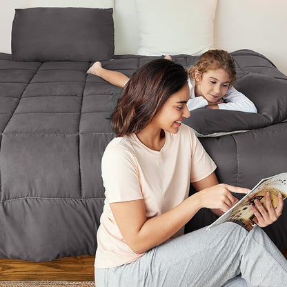 Exclusivo Mezcla Lightweight Reversible King Size Comforter Set, Down Alternative Comforter with 2 Pillow Sham, King Size Bedding Set for All Seasons, Grey