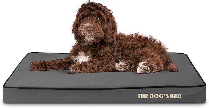 The Dog’s Bed Orthopedic Memory Foam Dog Bed Mattress, Oxford Fabric, Grey with Black Trim, M, 3-Inch