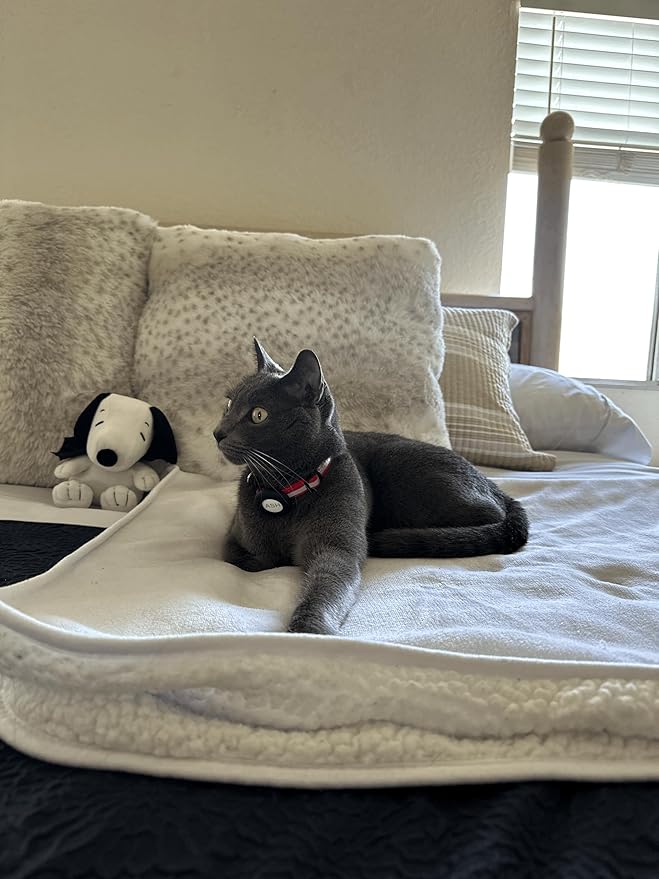 Sherpa Dog & Cat Blanket, Cozy Ultra-Soft Fleece Comfort for Your Furry Family
