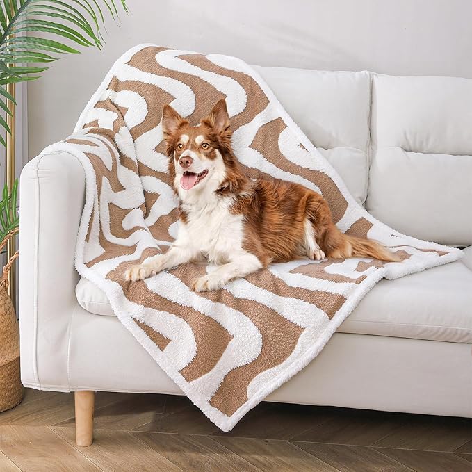 BEAUTYZOO Waterproof Dog Blankets for Small Dogs Washable- Reversable Dog Blanket for Furniture, Sofa, Couch, Crate, Car- Soft Sherpa Dog Throw Plush Pet Bed Blanket Cat Puppy Kitten, 24"x32" Brown