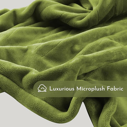 Electric Heated Blanket 84"x90" Queen Size Flannel Heated Blanket, Cozy & Warm for All Night, 5 Heat Settings & 10 Hours Auto Off, Machine Washable, Light Grass Green
