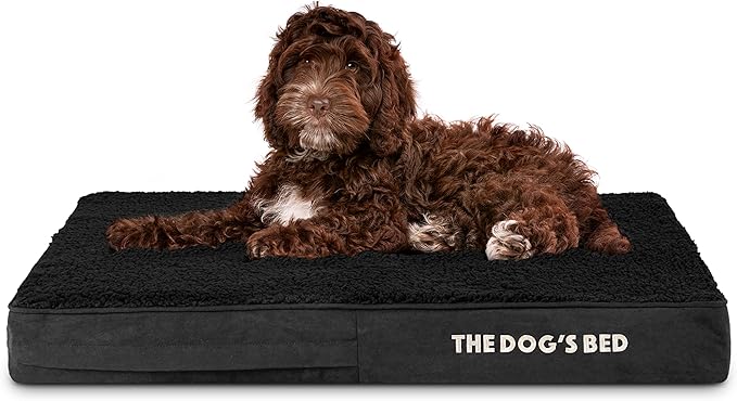 The Dog’s Bed Orthopedic Memory Foam Dog Bed Mattress, Plush Fabric, Grey with Blue Trim, M, 4-Inch