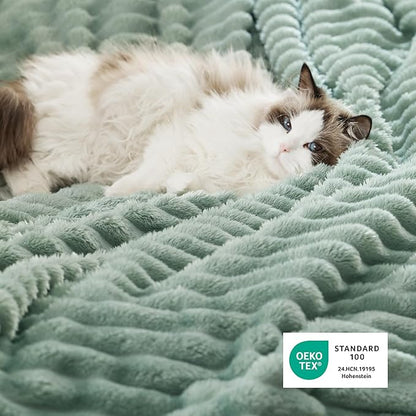 Bedsure Sherpa Blanket Queen Size for Bed - Super Soft, Cozy Fleece Thick Warm Blanket for Winter Christmas, GentleSoft Home Room Decor, Sage Green, 90x90 Inches