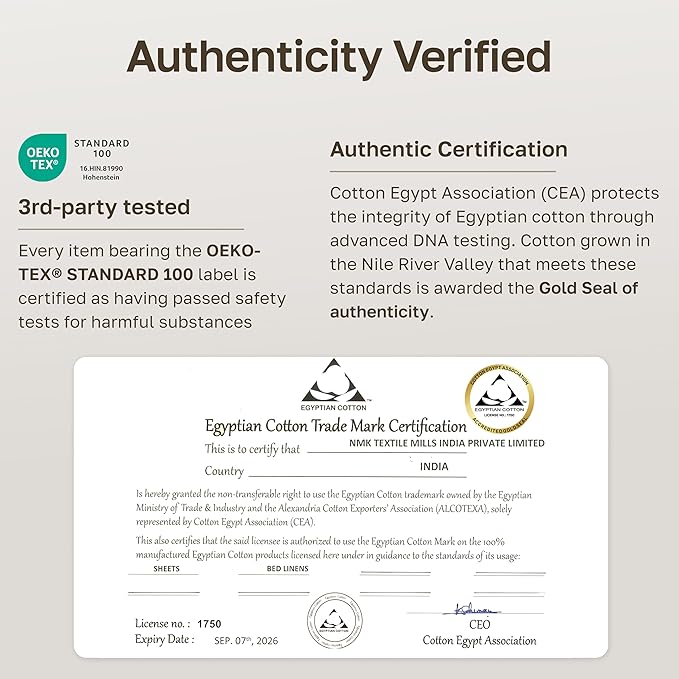 California Design Den 100% Egyptian Cotton Sheets Queen Size Set - Certified Authentic Luxury Deep Pocket Queen Sheets, Soft Sateen, Durable and Breathable Bedding Set for Hot Sleepers - Mint Green
