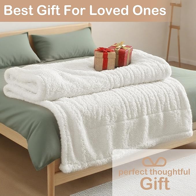 Electric Heated Blanket Queen Size 84"×90" Dual Control, 9 Heating Settings & 1-10Hs Auto Off, Overheat Protect, Double-Sided Plush Sherpa, for Couch & Bed, Machine Washable White